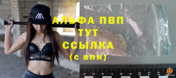 индика Абаза