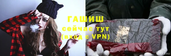 индика Абаза