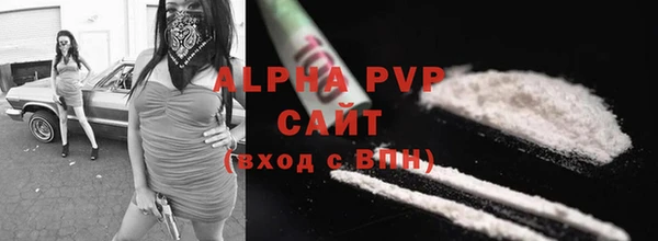 индика Абаза