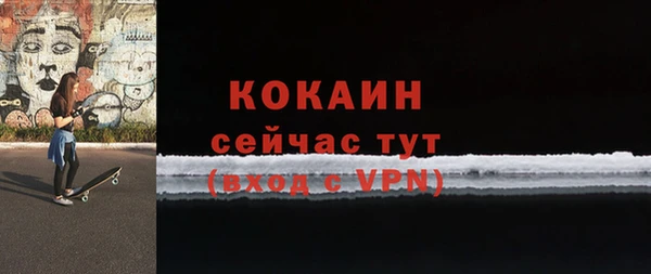 индика Абаза