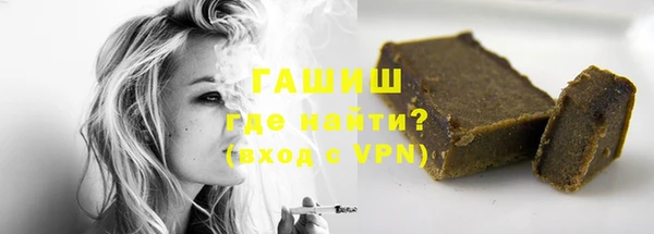 индика Абаза