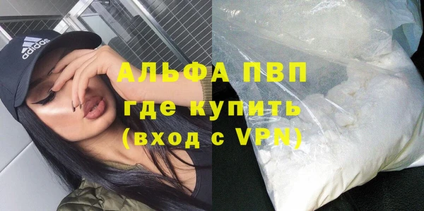 индика Абаза