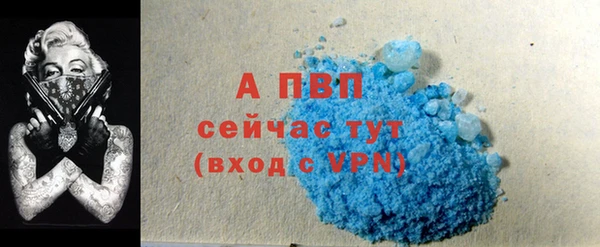 индика Абаза