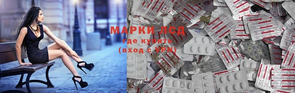 ГАЛЛЮЦИНОГЕННЫЕ ГРИБЫ Дмитров