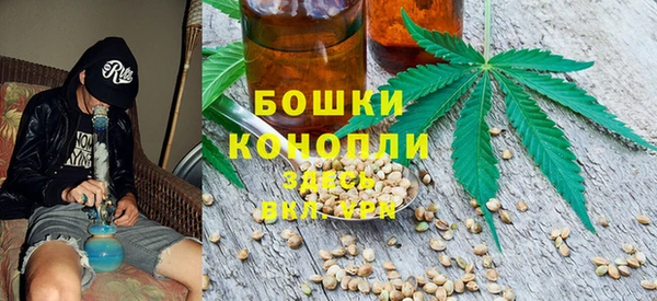 мяу мяу мука Дмитриев