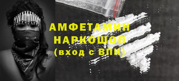 индика Абаза