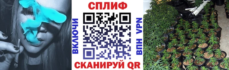 blacksprut зеркало  как найти   Венёв  Каннабис THC 21% 